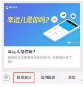騰訊信用分全國(guó)公測(cè)，查了一下之后懵逼了。。