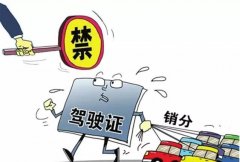 青島的朋友們注意啦，9月起禁止使用他人駕照銷