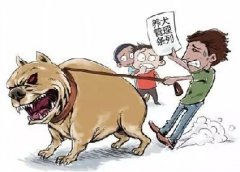 青島10月份一大波勁爆消息，你知道嗎？