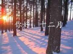 抓住2016年的尾巴給自己充充電！12月，加油！
