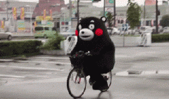 青島也有“共享單車”啦！說(shuō)騎就騎的旅程GO